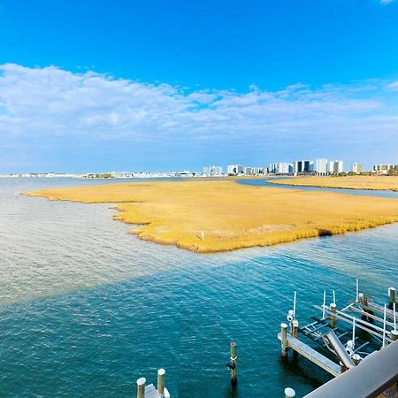 Pintail Point Condos Ocean City Chambre photo